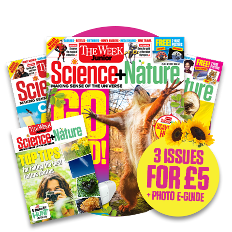 TWJ Science+Nature | Ignite your child's passion for discovery
